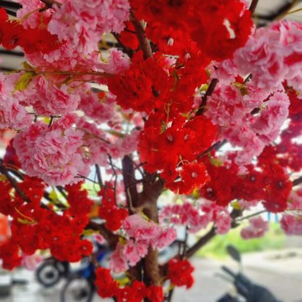 Pohon Imlek Daun sakura meihua Pohon Sakura Cherry Blossom