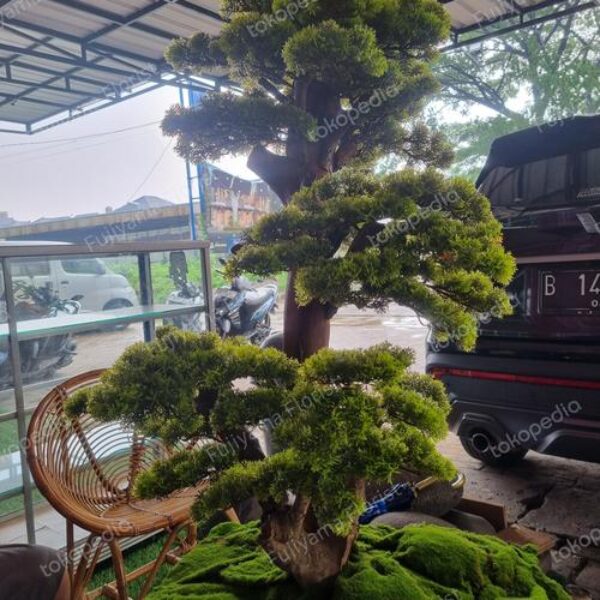 Zen Garden Indoor Taman Kering Bonsai | Wajib Packing Kayu