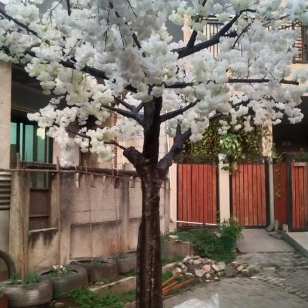 Sewa Pohon Plastik Sakura Maple Beringin Anggur