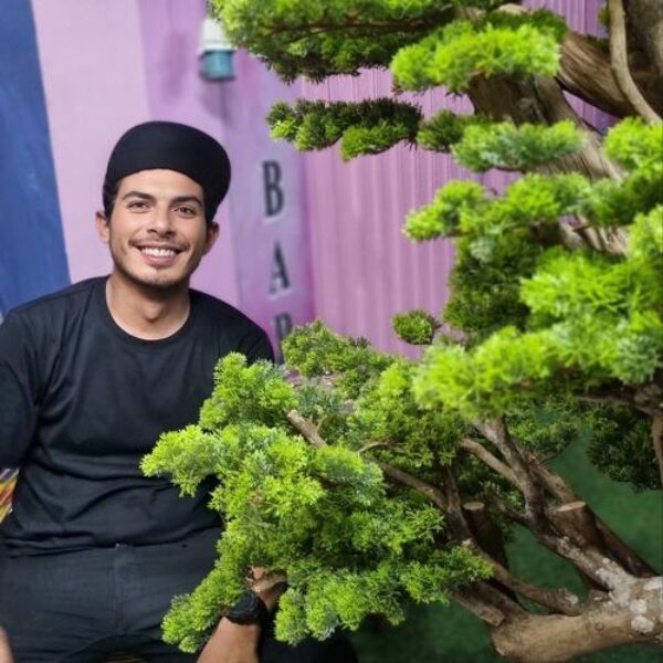 Bonsai Zen Garden artifisial Orderan Puri Indah custom by order Tinggi 150 cm style Chokkan dan Cascade