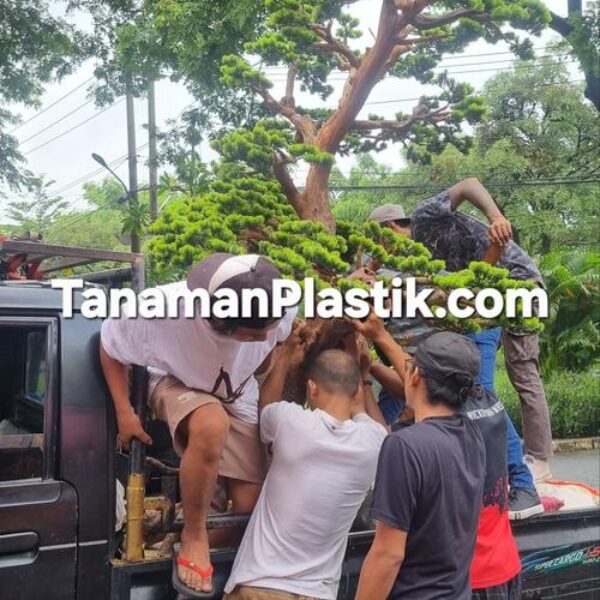 Pohon Bonsai Artificial Besar 250 cm - 300 cm taman zen garden bonsai lohansung