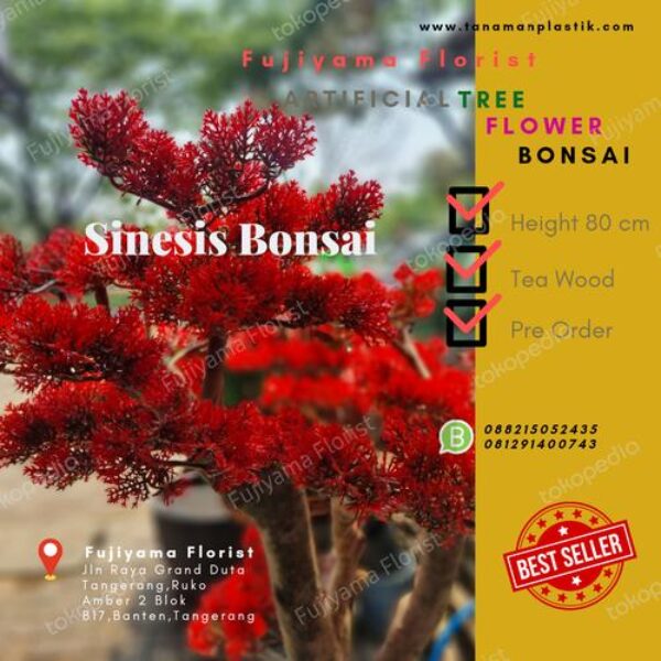 Bonsai Artifisial Sinesis Cemara Udang Tinggi 80 cm