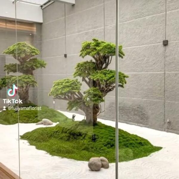Spesialis pembuatan bonsai jepang | Bonsai Plastik Besar